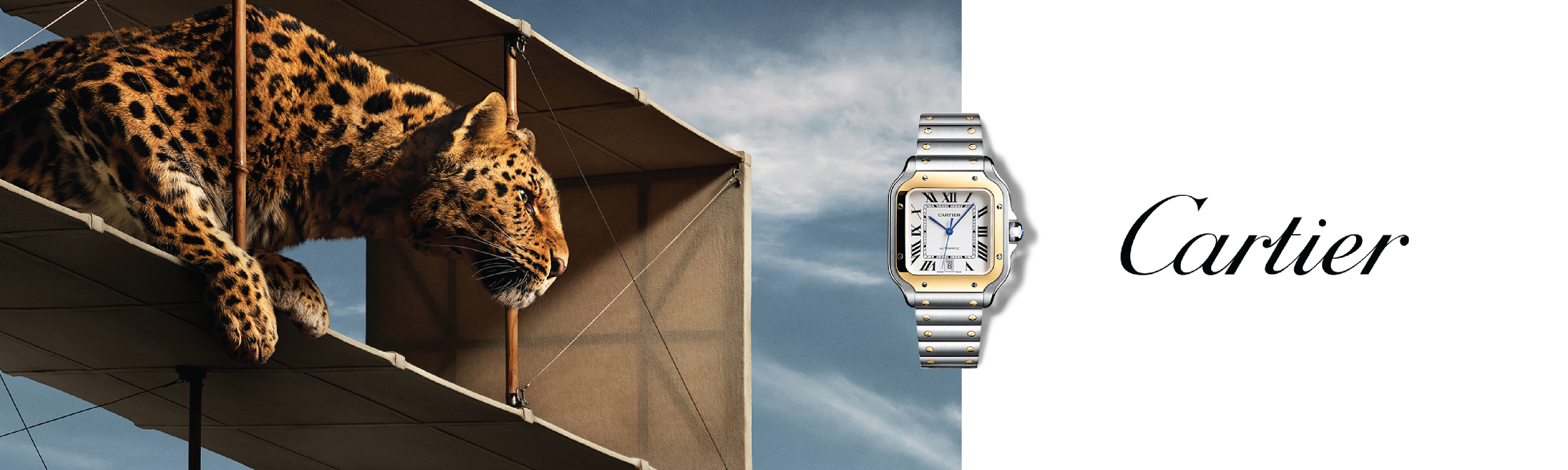 Cartier banner