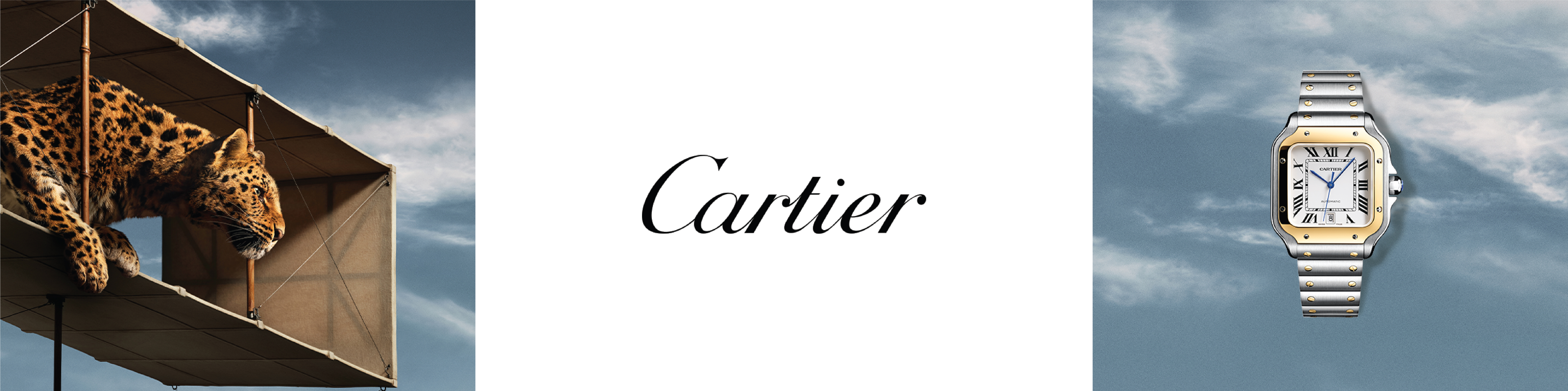 Cartier banner