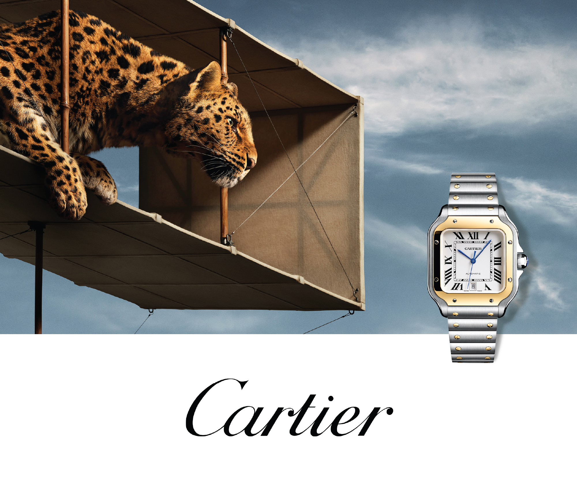Cartier banner