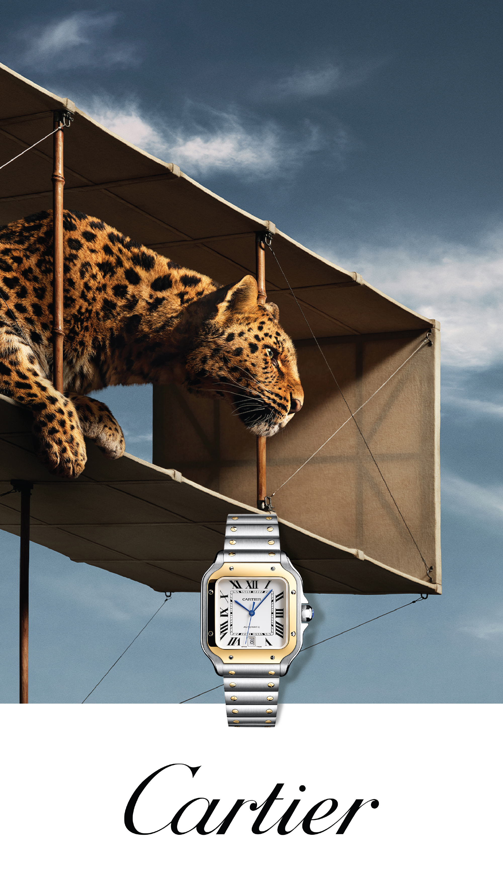 Cartier Cartier banner