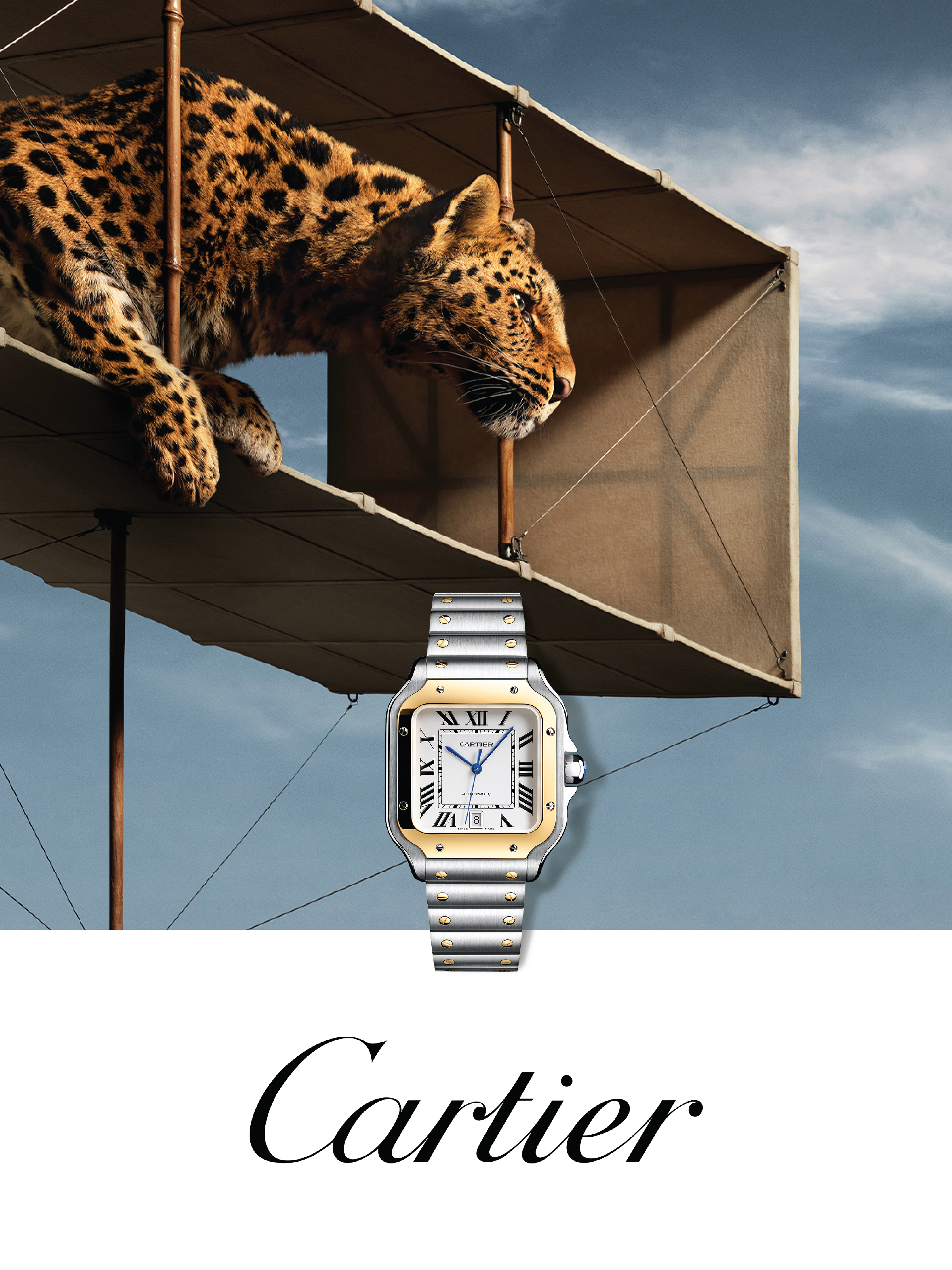Cartier Cartier banner