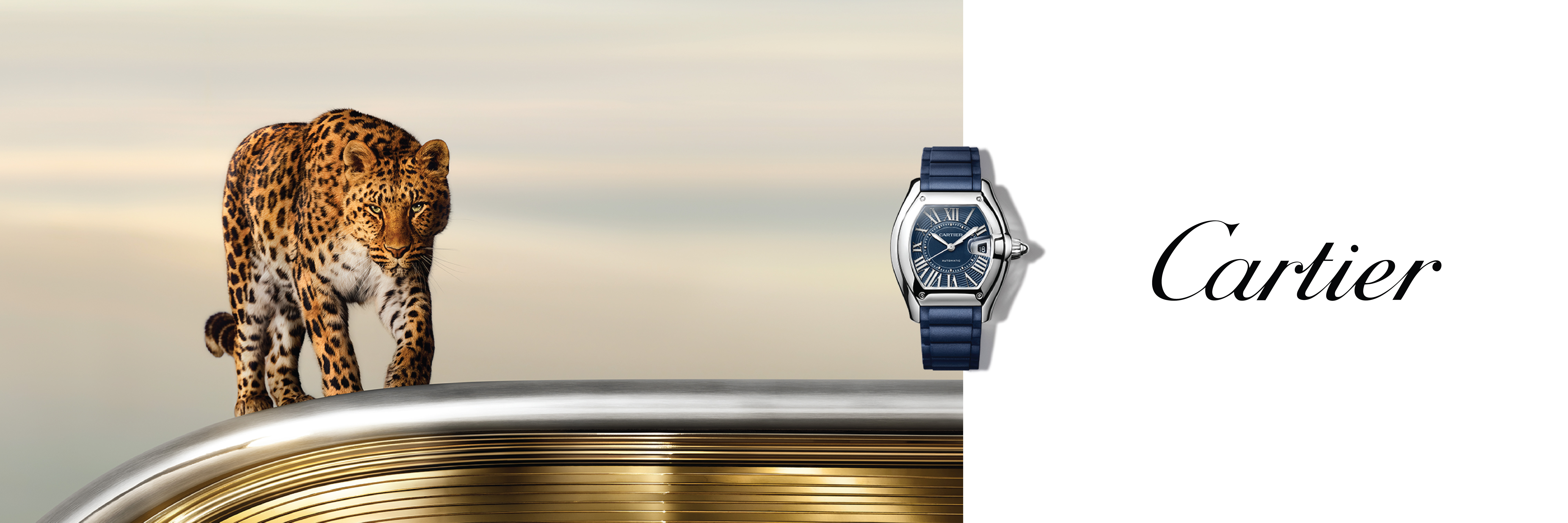 Cartier banner