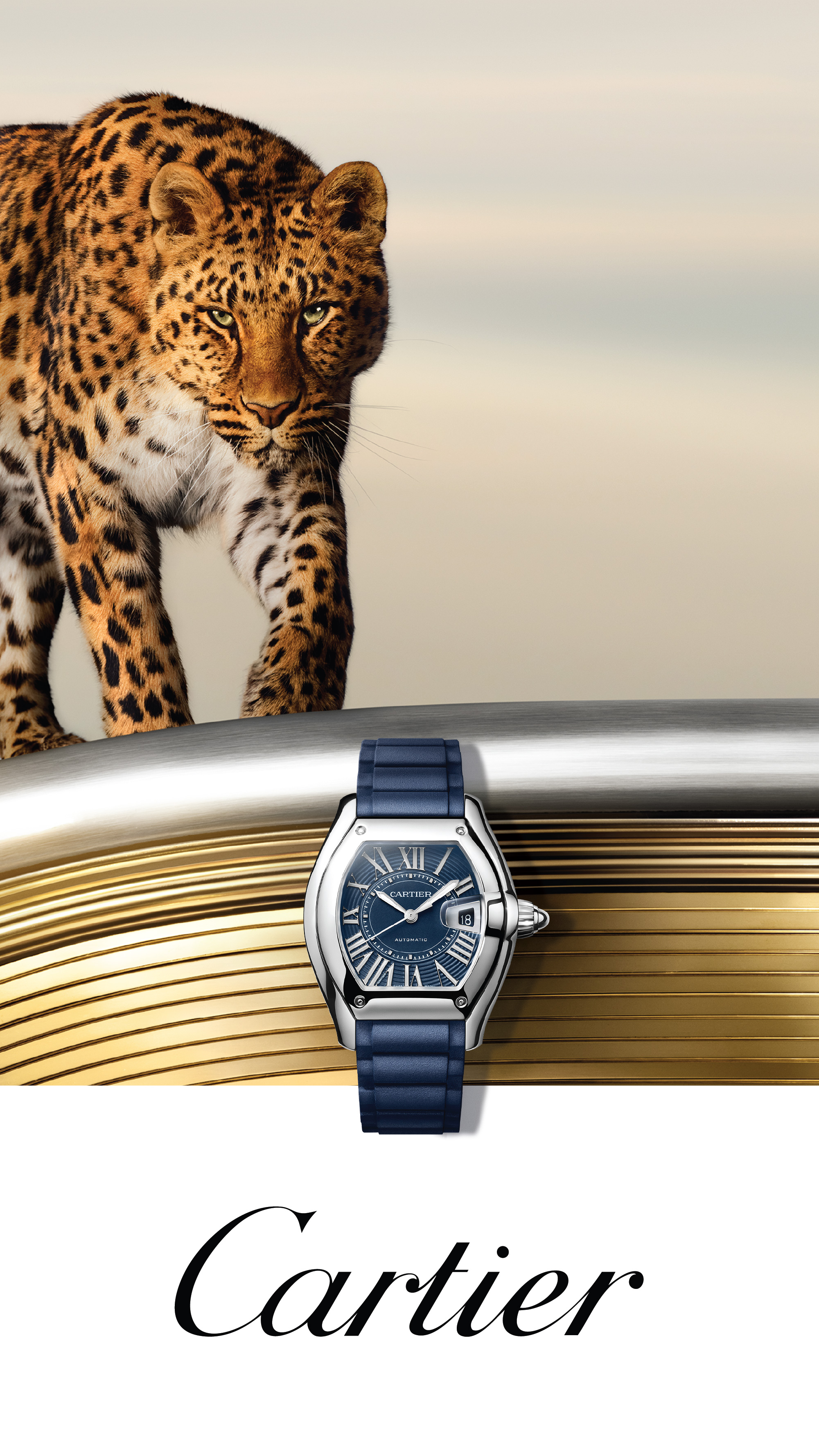 Cartier banner