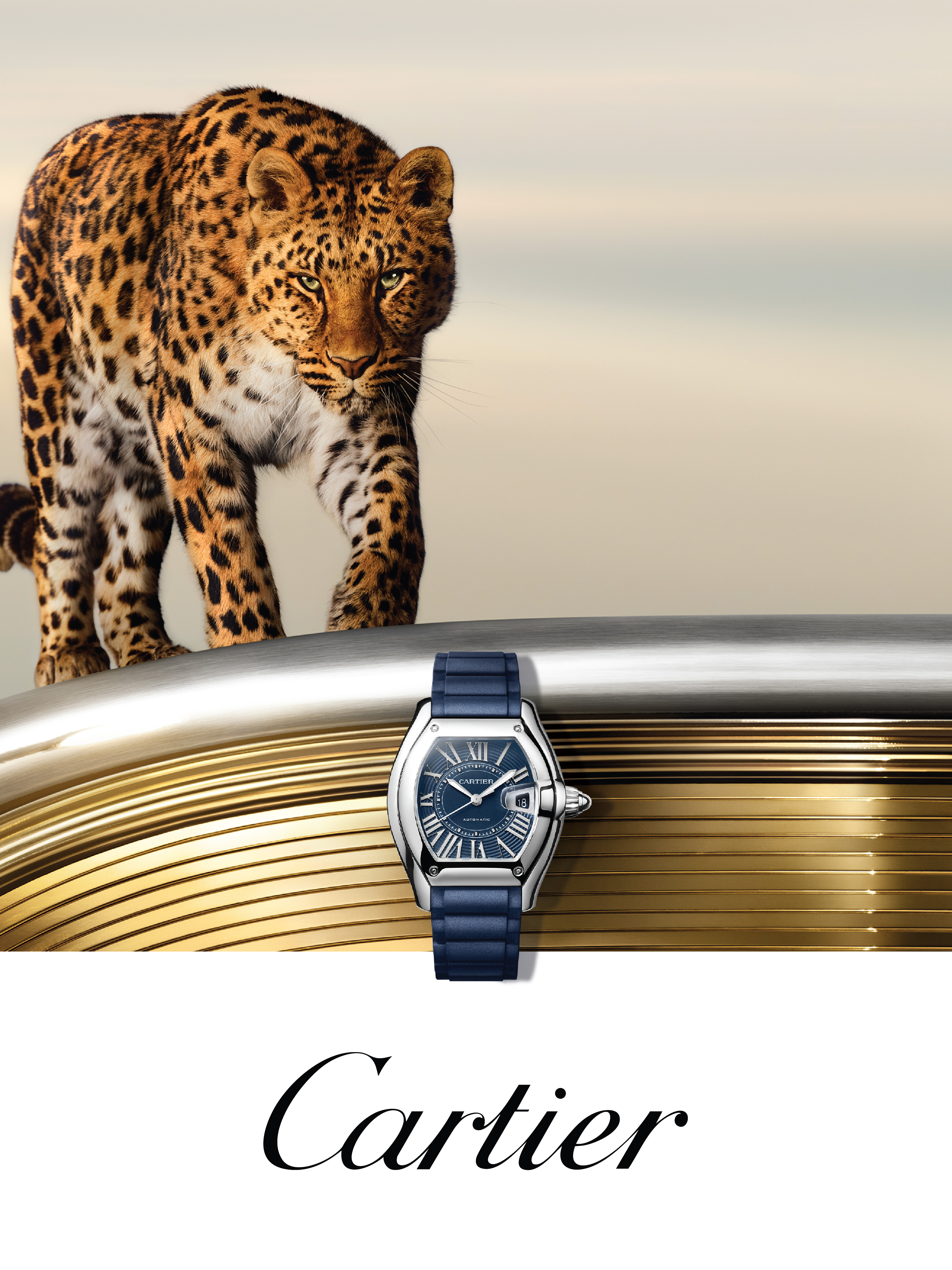 Cartier banner