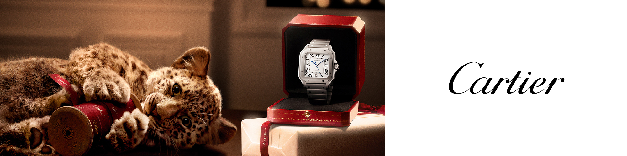 Cartier banner